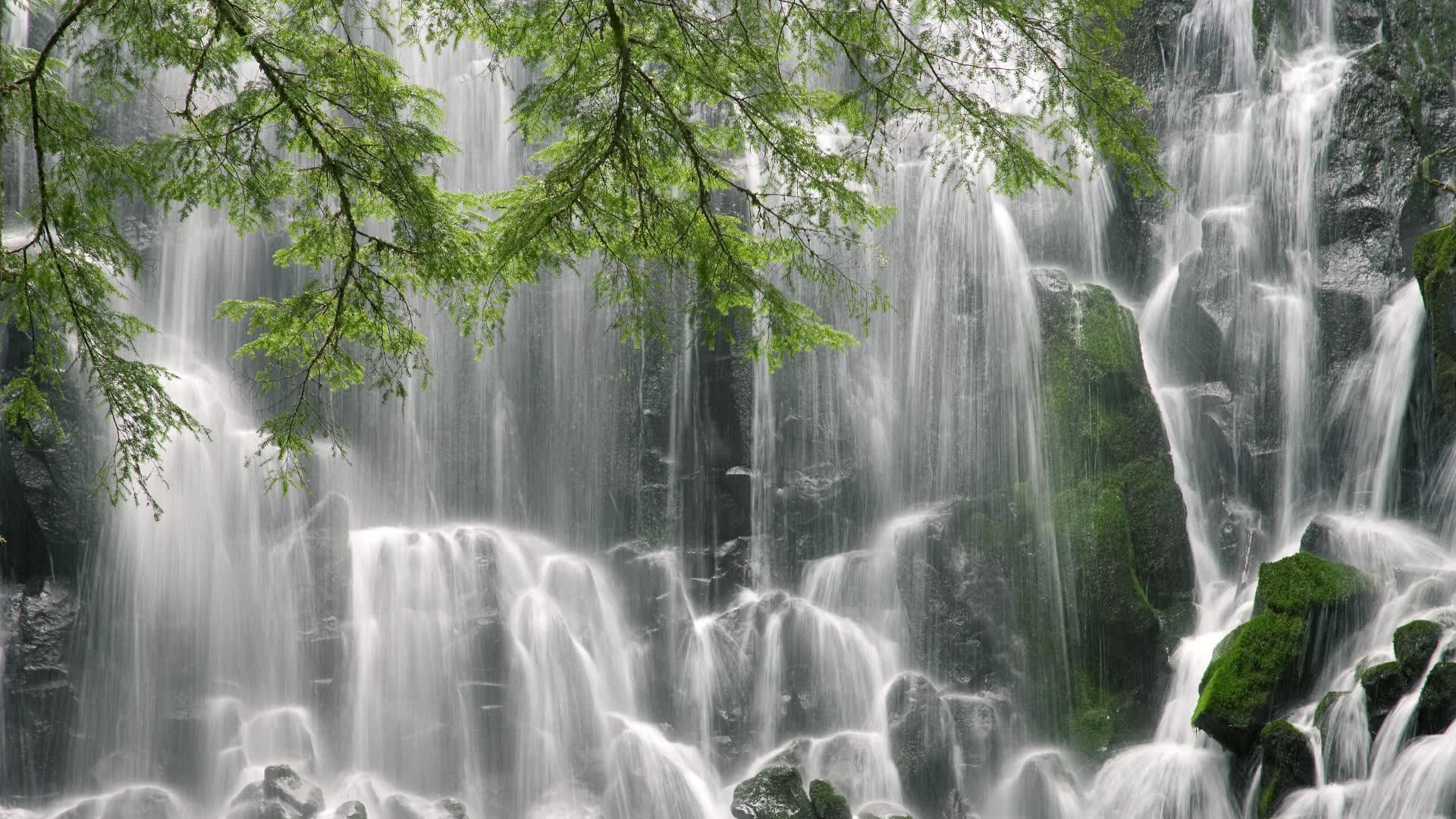 不是所有人都能接受这种生活,不是所有的人都拥有你这样的条件